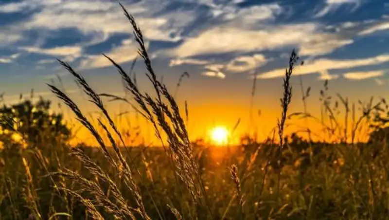 Прогноз погоды на воскресенье