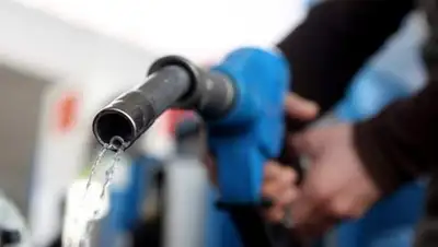 Zakon.kz, фото - Новости Zakon.kz от 31.10.2017 15:54