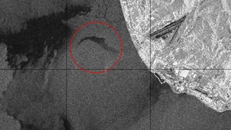Опубликован спутниковый снимок района катастрофы в Черном море