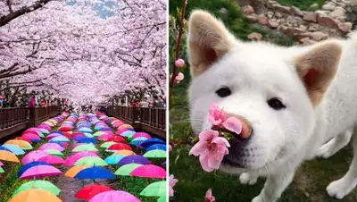 Zakon.kz, фото - Новости Zakon.kz от 25.03.2016 17:02