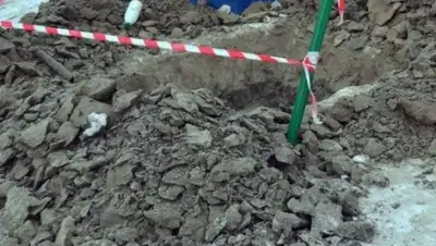 Zakon.kz, фото - Новости Zakon.kz от 03.04.2017 06:07