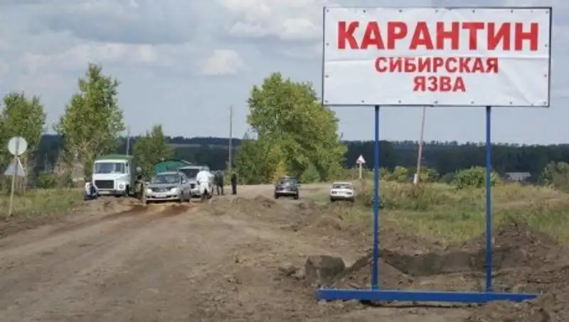 В Павлодарской области заподозрили сибирскую язву у двух жителей села