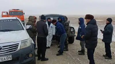 трасса, помощь, пастух, фото - Новости Zakon.kz от 23.12.2022 01:20