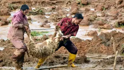 Zakon.kz, фото - Новости Zakon.kz от 14.12.2014 17:57