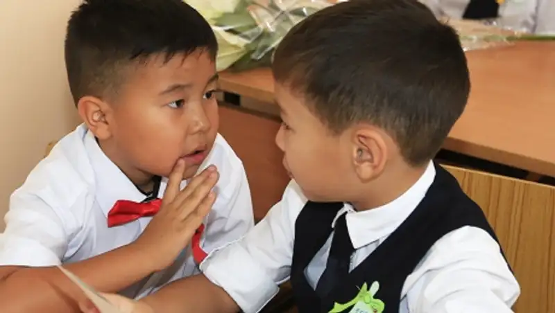 Школьные занятия для первой смены отменены в Кокшетау