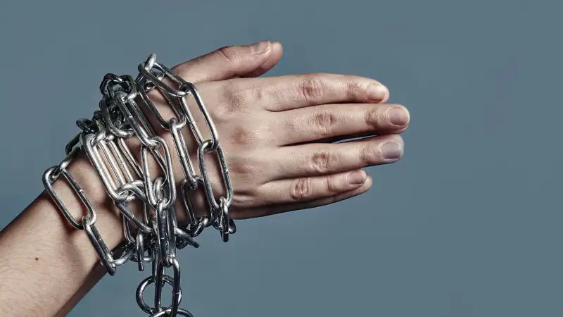 Притон с проститутками нашли полицейские в элитном ЖК столицы