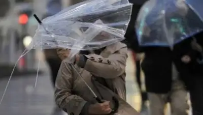 Times.kz, фото - Новости Zakon.kz от 04.06.2018 16:16