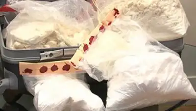 Zakon.kz, фото - Новости Zakon.kz от 31.08.2016 21:41