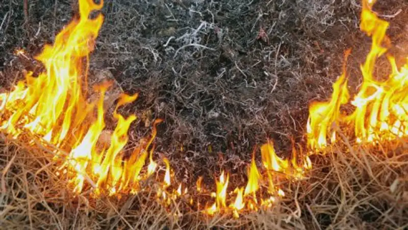 В Алматы прогнозируется рост пожаров - ДЧС