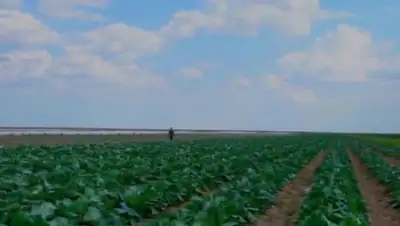 mgorod.kz, фото - Новости Zakon.kz от 17.08.2018 19:10