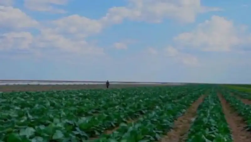 Около двух миллионов тенге присвоил атырауский фермер