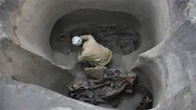 Zakon.kz, фото - Новости Zakon.kz от 07.08.2014 01:18