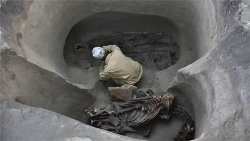 Казахстанские ученые нашли древний музыкальный инструмент