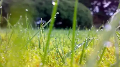 Zakon.kz, фото - Новости Zakon.kz от 01.08.2016 15:04