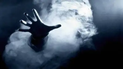 IpNews, фото - Новости Zakon.kz от 25.11.2019 22:01