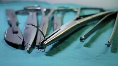 pixabay.com, фото - Новости Zakon.kz от 20.11.2019 23:56