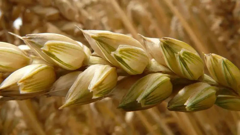 Ситуация в Украине: Киев ввел санкции против президента Сирии, Эрдоган подтвердил продление зерновой сделки