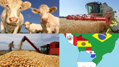 Коллаж Zakon.kz, фото - Новости Zakon.kz от 28.03.2019 01:11