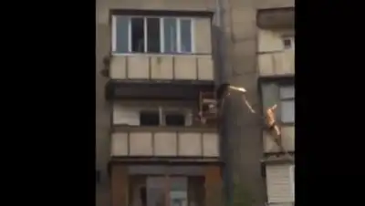 Zakon.kz, фото - Новости Zakon.kz от 12.07.2017 20:21