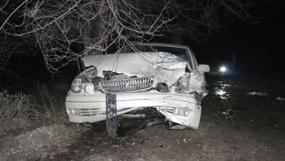 Zakon.kz, фото - Новости Zakon.kz от 07.02.2016 13:07