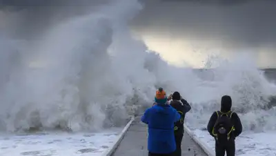 tumba.kz, фото - Новости Zakon.kz от 07.02.2020 14:07