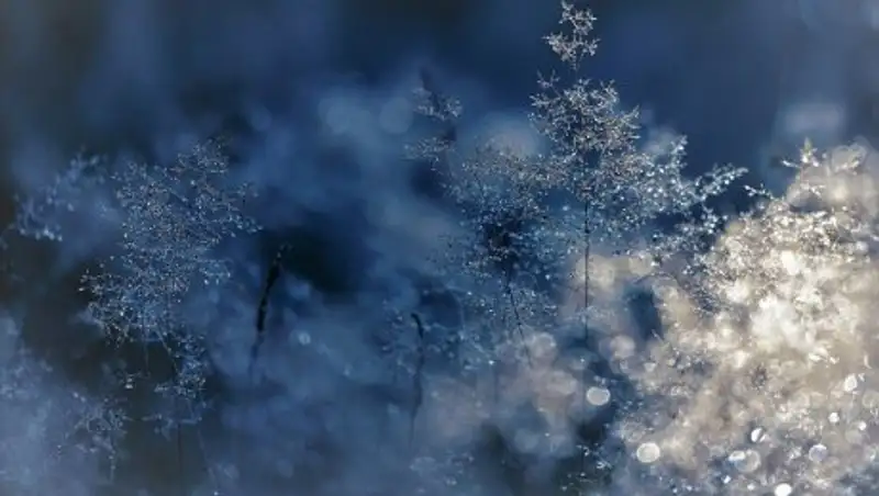 Школьные занятия отменены в ряде регионов