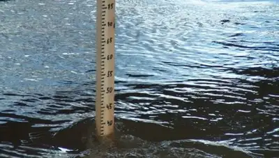 Алау, фото - Новости Zakon.kz от 22.09.2018 13:41