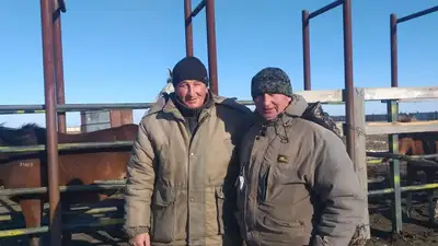 Примеры трудолюбия и патриотизма: братья Цан из СКО рассказали о жизни на селе, фото - Новости Zakon.kz от 04.08.2023 14:46