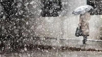 Zakon.kz, фото - Новости Zakon.kz от 05.10.2014 15:06