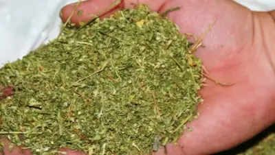 arnapress.kz, фото - Новости Zakon.kz от 17.07.2018 15:51