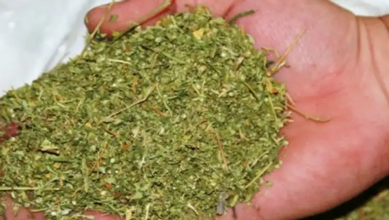 Более 50 кг наркотиков изъято транспортными полицейскими Казахстана с начала года