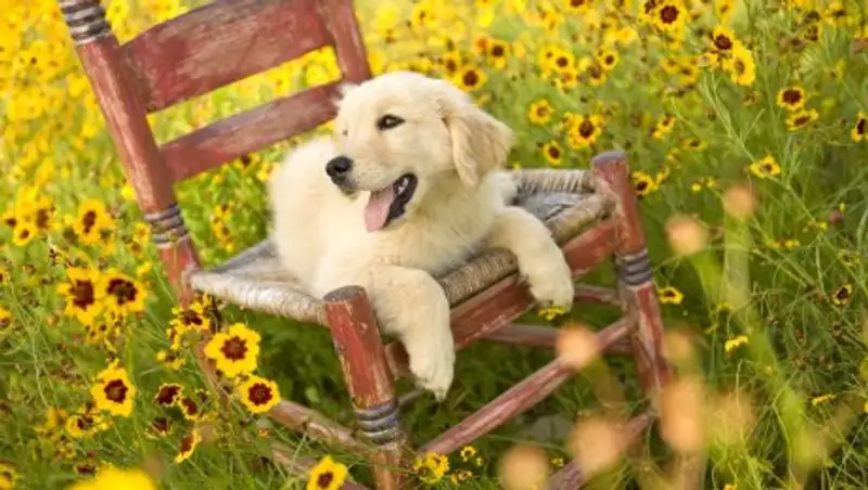 Жаркую погоду, с кратковременными грозовыми дождями обещают синоптики