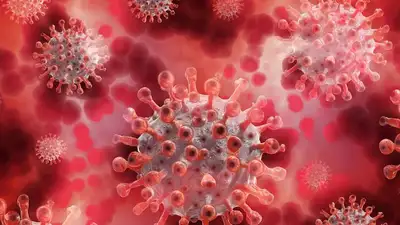 За сутки в Казахстане зафиксировали всего 56 новых заболевших коронавирусом