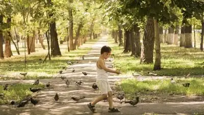 pixabay.com, фото - Новости Zakon.kz от 29.07.2021 16:37