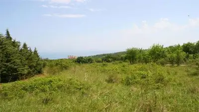 Zakon.kz, фото - Новости Zakon.kz от 06.02.2014 17:58