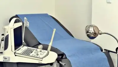 pixabay, фото - Новости Zakon.kz от 22.09.2021 07:17