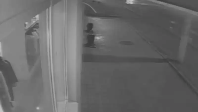 Полиция Иркутска изучает видео пьяного ДТП с дочерью депутата