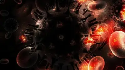 Pixabay, фото - Новости Zakon.kz от 30.01.2020 06:00