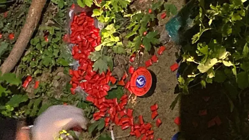 В Тобыле изъяли партию наркотиков на сумму более 100 млн тенге