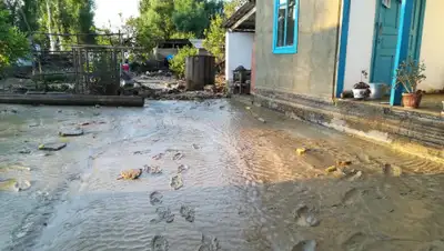 КЧС МВД РК, фото - Новости Zakon.kz от 04.06.2019 07:22