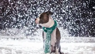 Zakon.kz, фото - Новости Zakon.kz от 10.01.2017 19:56