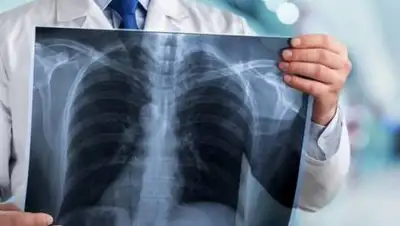 zakon.kz., фото - Новости Zakon.kz от 04.12.2020 08:52