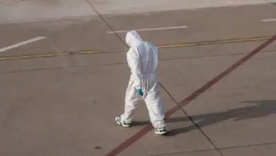 pixabay.com, фото - Новости Zakon.kz от 29.07.2021 18:57