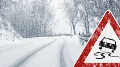 zakon.kz., фото - Новости Zakon.kz от 17.01.2021 13:51