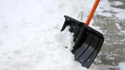 zakon.kz., фото - Новости Zakon.kz от 05.12.2020 10:21