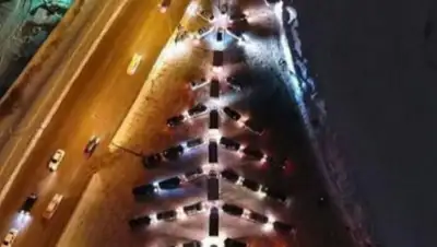 Zakon.kz, фото - Новости Zakon.kz от 01.01.2017 15:06