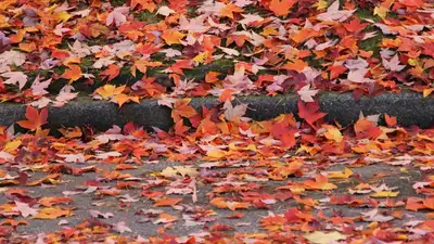 Какой будет погода в первые дни октября в Астане, Алматы и Шымкенте , фото - Новости Zakon.kz от 29.09.2023 14:46