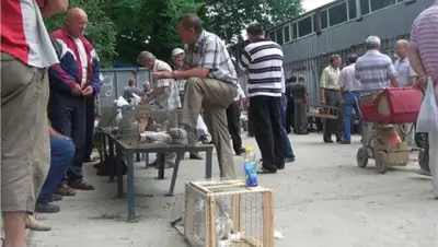 Zakon.kz, фото - Новости Zakon.kz от 23.06.2016 06:05