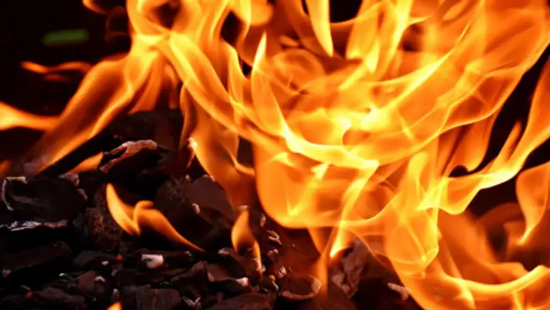 Видео пожара в яблоневом саду опубликовали в Сети