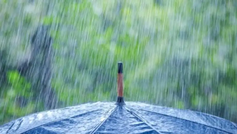 Дожди и грозы ожидаются в Казахстане